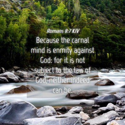 Picture 04 - Romans 8:7 KJV - Because the carnal mind is enmity against God: - Bible Verse Picture
