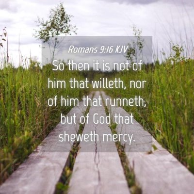 Picture 04 - Romans 9:16 KJV - So then it is not of him that willeth, nor of him - Bible Verse Picture