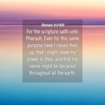 Picture 04 - Romans 9:17 KJV - For the scripture saith unto Pharaoh, Even for - Bible Verse Picture