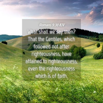 Picture 04 - Romans 9:30 KJV - What shall we say then? That the Gentiles, which - Bible Verse Picture