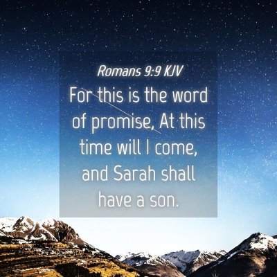 Picture 04 - Romans 9:9 KJV - For this is the word of promise, At this time - Bible Verse Picture