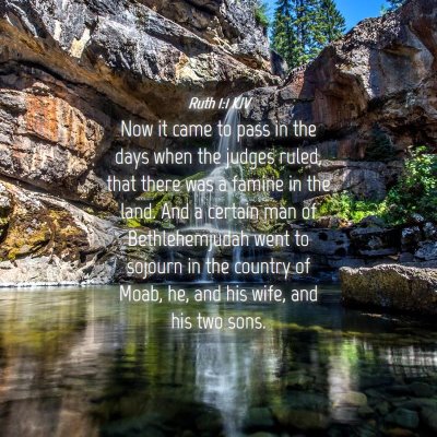 Picture 04 - Ruth 1:1 KJV - Now it came to pass in the days when the judges - Bible Verse Picture