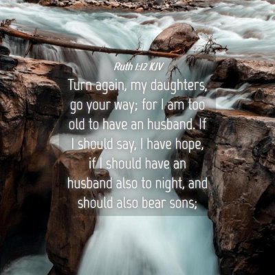 Picture 04 - Ruth 1:12 KJV - Turn again, my daughters, go your way; for I am - Bible Verse Picture