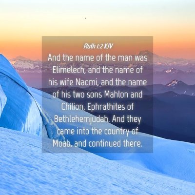 Picture 04 - Ruth 1:2 KJV - And the name of the man was Elimelech, and the - Bible Verse Picture