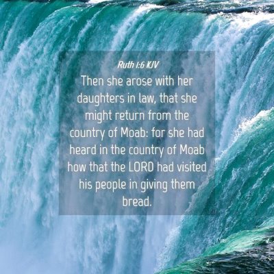 Picture 04 - Ruth 1:6 KJV - Then she arose with her daughters in law, that - Bible Verse Picture