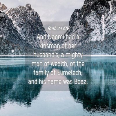 Picture 04 - Ruth 2:1 KJV - And Naomi had a kinsman of her husband's, a - Bible Verse Picture