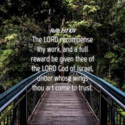 Picture 04 - Ruth 2:12 KJV - The LORD recompense thy work, and a full reward - Bible Verse Picture
