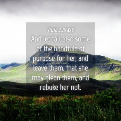Picture 04 - Ruth 2:16 KJV - And let fall also some of the handfuls of purpose - Bible Verse Picture