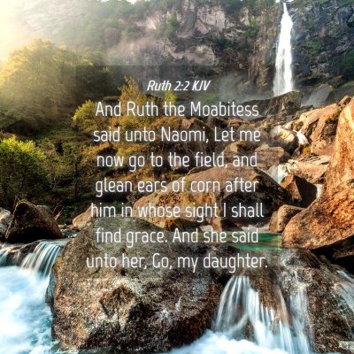 Picture 04 - Ruth 2:2 KJV - And Ruth the Moabitess said unto Naomi, Let me - Bible Verse Picture