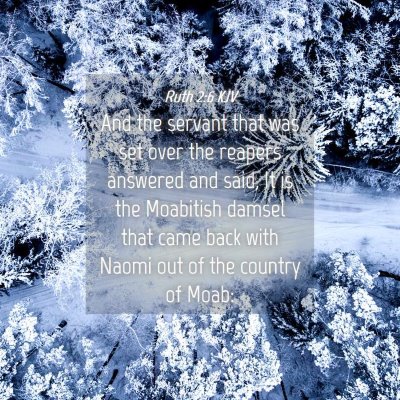 Picture 04 - Ruth 2:6 KJV - And the servant that was set over the reapers - Bible Verse Picture