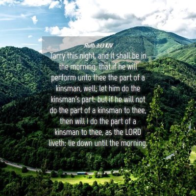 Picture 04 - Ruth 3:13 KJV - Tarry this night, and it shall be in the morning, - Bible Verse Picture