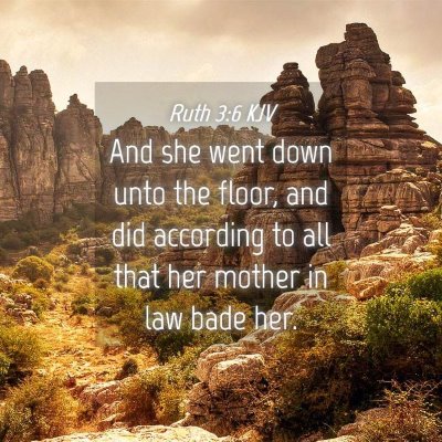 Picture 04 - Ruth 3:6 KJV - And she went down unto the floor, and did - Bible Verse Picture