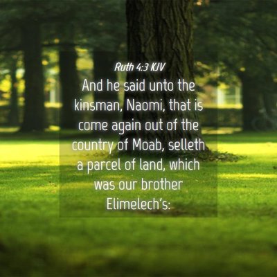 Picture 04 - Ruth 4:3 KJV - And he said unto the kinsman, Naomi, that is come - Bible Verse Picture