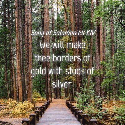 Picture 04 - Song of Solomon 1:11 KJV - We will make thee borders of gold with studs of - Bible Verse Picture