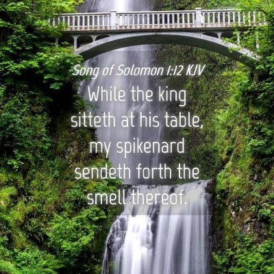 Picture 04 - Song of Solomon 1:12 KJV - While the king sitteth at his table, my spikenard - Bible Verse Picture