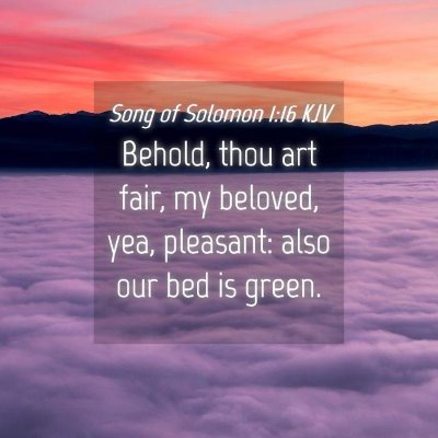 Picture 04 - Song of Solomon 1:16 KJV - Behold, thou art fair, my beloved, yea, pleasant: - Bible Verse Picture