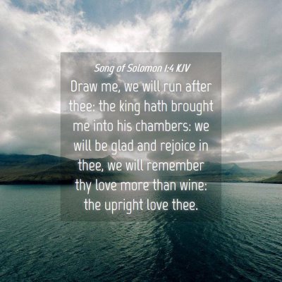 Picture 04 - Song of Solomon 1:4 KJV - Draw me, we will run after thee: the king hath - Bible Verse Picture