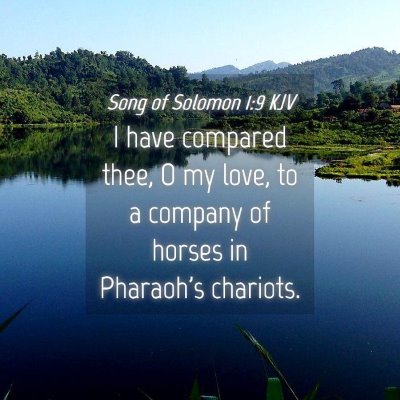 Picture 04 - Song of Solomon 1:9 KJV - I have compared thee, O my love, to a company of - Bible Verse Picture