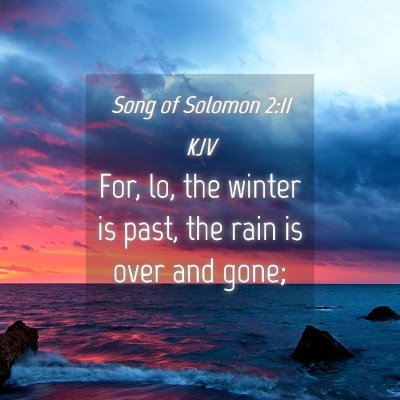 Picture 04 - Song of Solomon 2:11 KJV - For, lo, the winter is past, the rain is over and - Bible Verse Picture