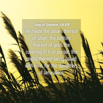 Picture 04 - Song of Solomon 3:10 KJV - He made the pillars thereof of silver, the bottom - Bible Verse Picture