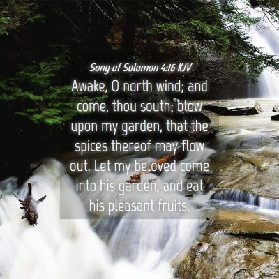 Picture 04 - Song of Solomon 4:16 KJV - Awake, O north wind; and come, thou south; blow - Bible Verse Picture