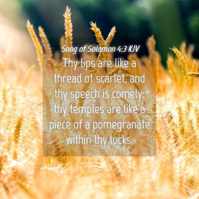 Picture 04 - Song of Solomon 4:3 KJV - Thy lips are like a thread of scarlet, and thy - Bible Verse Picture