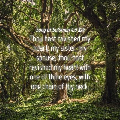 Picture 04 - Song of Solomon 4:9 KJV - Thou hast ravished my heart, my sister, my - Bible Verse Picture