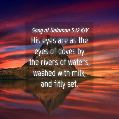 Picture 04 - Song of Solomon 5:12 KJV - His eyes are as the eyes of doves by the rivers - Bible Verse Picture