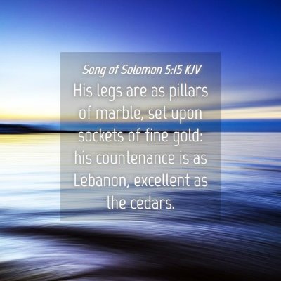 Picture 04 - Song of Solomon 5:15 KJV - His legs are as pillars of marble, set upon - Bible Verse Picture