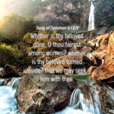 Picture 04 - Song of Solomon 6:1 KJV - Whither is thy beloved gone, O thou fairest among - Bible Verse Picture