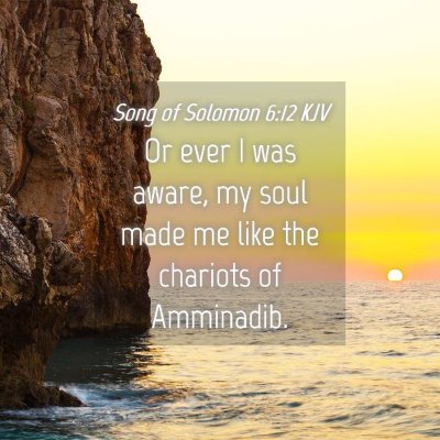 Picture 04 - Song of Solomon 6:12 KJV - Or ever I was aware, my soul made me like the - Bible Verse Picture