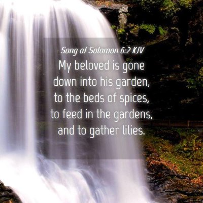 Picture 04 - Song of Solomon 6:2 KJV - My beloved is gone down into his garden, to the - Bible Verse Picture