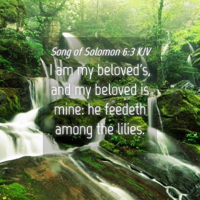 Picture 04 - Song of Solomon 6:3 KJV - I am my beloved's, and my beloved is mine: he - Bible Verse Picture