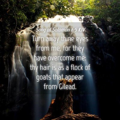Picture 04 - Song of Solomon 6:5 KJV - Turn away thine eyes from me, for they have - Bible Verse Picture