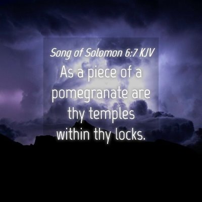Picture 04 - Song of Solomon 6:7 KJV - As a piece of a pomegranate are thy temples - Bible Verse Picture