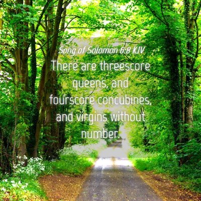 Picture 04 - Song of Solomon 6:8 KJV - There are threescore queens, and fourscore - Bible Verse Picture