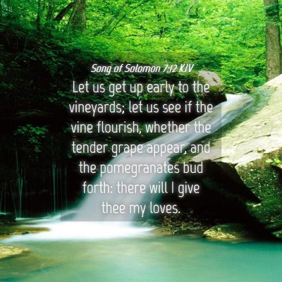 Picture 04 - Song of Solomon 7:12 KJV - Let us get up early to the vineyards; let us see - Bible Verse Picture