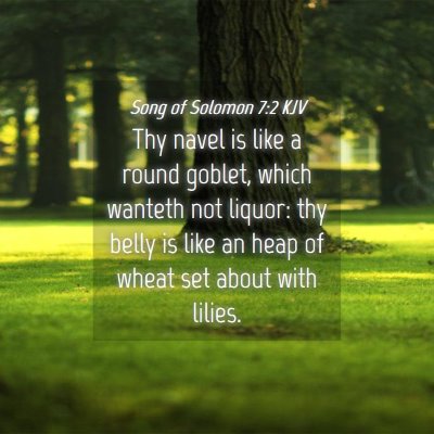 Picture 04 - Song of Solomon 7:2 KJV - Thy navel is like a round goblet, which wanteth - Bible Verse Picture