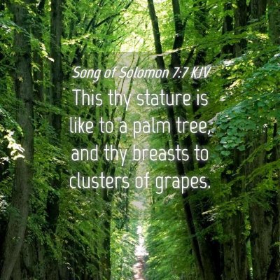 Picture 04 - Song of Solomon 7:7 KJV - This thy stature is like to a palm tree, and thy - Bible Verse Picture