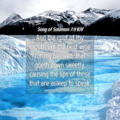 Picture 04 - Song of Solomon 7:9 KJV - And the roof of thy mouth like the best wine for - Bible Verse Picture
