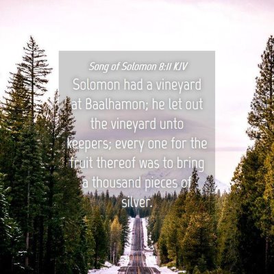 Picture 04 - Song of Solomon 8:11 KJV - Solomon had a vineyard at Baalhamon; he let out - Bible Verse Picture
