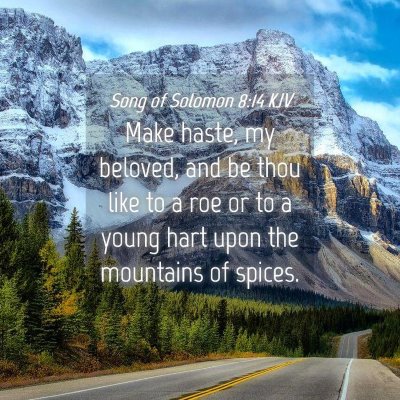 Picture 04 - Song of Solomon 8:14 KJV - Make haste, my beloved, and be thou like to a roe - Bible Verse Picture