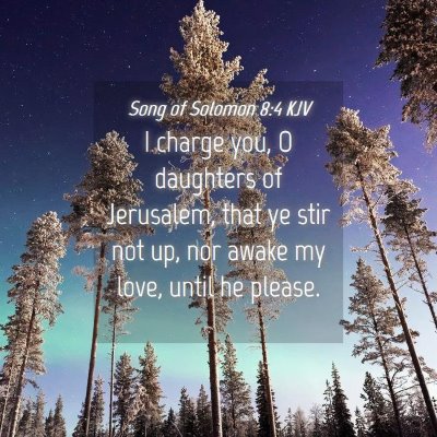 Picture 04 - Song of Solomon 8:4 KJV - I charge you, O daughters of Jerusalem, that ye - Bible Verse Picture