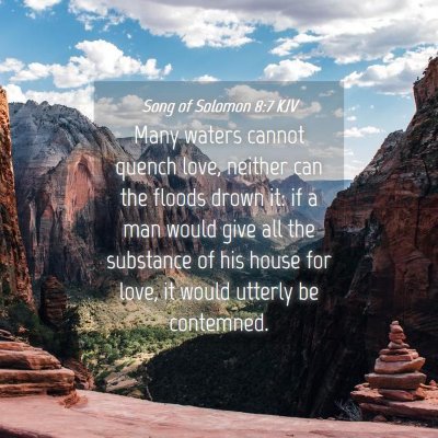 Picture 04 - Song of Solomon 8:7 KJV - Many waters cannot quench love, neither can the - Bible Verse Picture