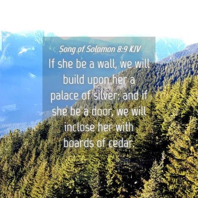 Picture 04 - Song of Solomon 8:9 KJV - If she be a wall, we will build upon her a palace - Bible Verse Picture