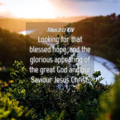 Picture 04 - Titus 2:13 KJV - Looking for that blessed hope, and the glorious - Bible Verse Picture