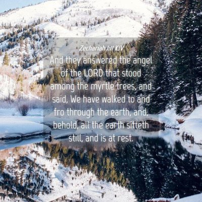Picture 04 - Zechariah 1:11 KJV - And they answered the angel of the LORD that - Bible Verse Picture