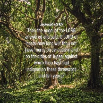 Picture 04 - Zechariah 1:12 KJV - Then the angel of the LORD answered and said, O - Bible Verse Picture