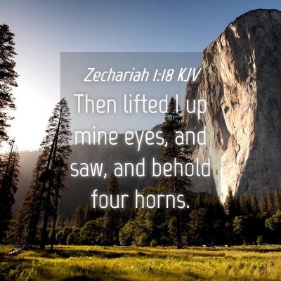 Picture 04 - Zechariah 1:18 KJV - Then lifted I up mine eyes, and saw, and behold - Bible Verse Picture