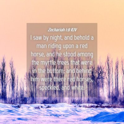 Picture 04 - Zechariah 1:8 KJV - I saw by night, and behold a man riding upon a - Bible Verse Picture